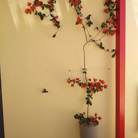 דירה Studio Flat With Large Terrace Santa Vennera
